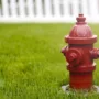 featured image - 6 Ways to Protect Your Lawn This Summer