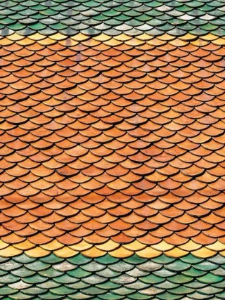 featured image - A Quick Guide About the Types of Roofing Materials