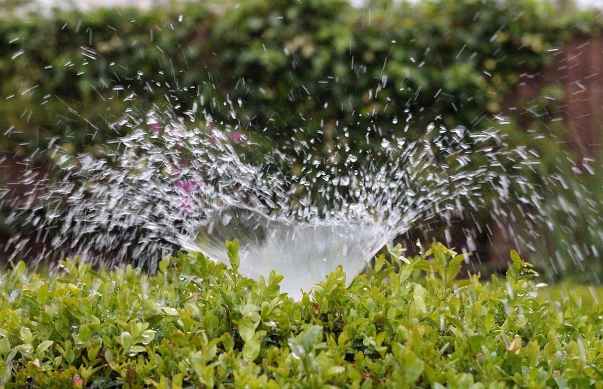 Agriculture Is the Largest Consumer of Water image - Agriculture Is the Largest Consumer of Water