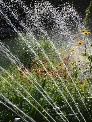 featured image - Automatic Garden Watering Systems