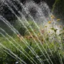 featured image - Automatic Garden Watering Systems