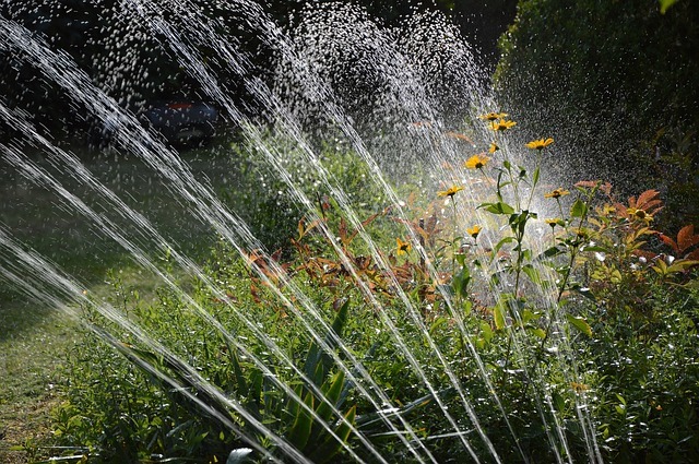 Automatic Garden Watering Systems image - Automatic Garden Watering Systems