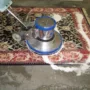 featured image - Is it Worth Getting Carpets Professionally Cleaned?