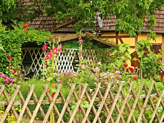 featured image - Incorporate Herbs and Aim for A Cottage Garden