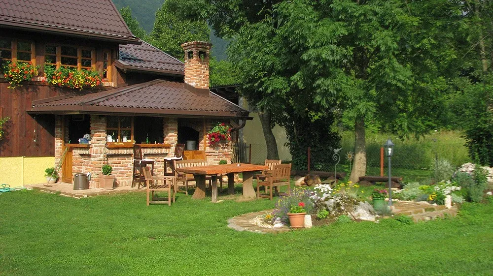 featured image - Must Have Power Tools to Beautify Your Garden with Ease