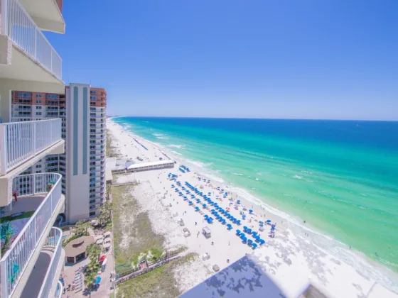 featured image - Northern Beaches is the Place to Be – Why People are Investing in the Real Estate