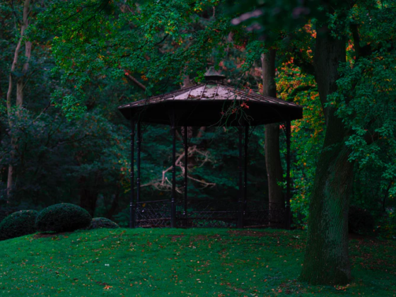 featured image - Reasons Why You Might Want a Gazebo