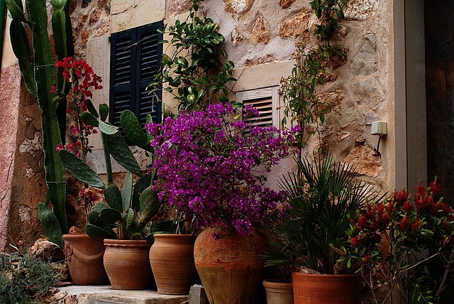 The Fundamental Guide to Decorating your Home with Planters image - The Fundamental Guide to Decorating your Home with Planters