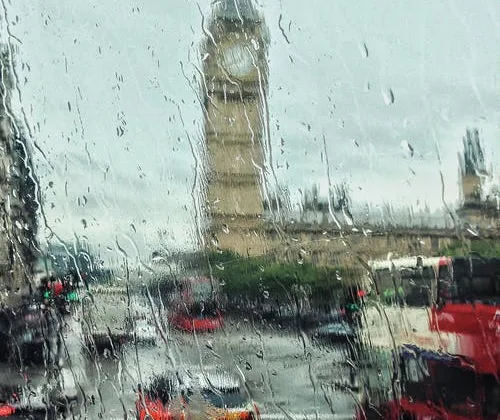 featured image - Water Damage and Mold – The Benefits of Professional Mold Remediation