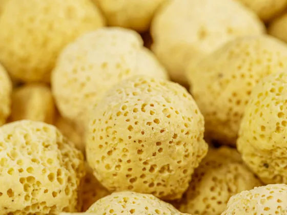 featured image - What Type of Aquarium Filter is Best