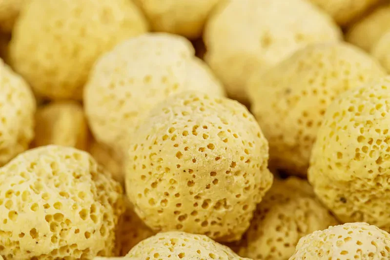 featured image - What Type of Aquarium Filter is Best