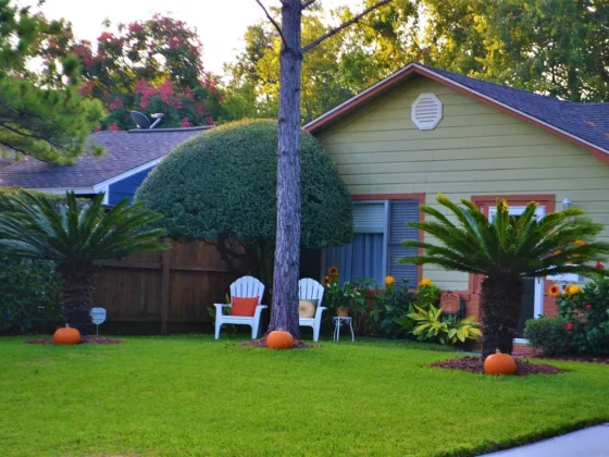 featured image - What are the Importances of Having a Well-Trimmed Lawn