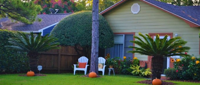 What are the Importances of Having a Well-Trimmed Lawn?