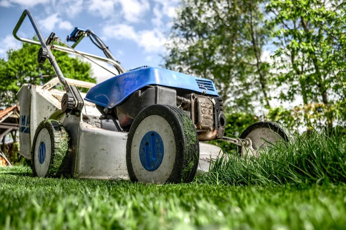 featured image - 13 Lawn Mowing Tips for A Healthy Lawn