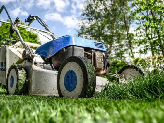 featured image - 13 Lawn Mowing Tips for A Healthy Lawn