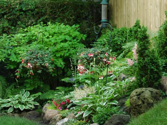 featured image - Safest Ways to Kill Weeds in Your Garden Without Harming Other Plants