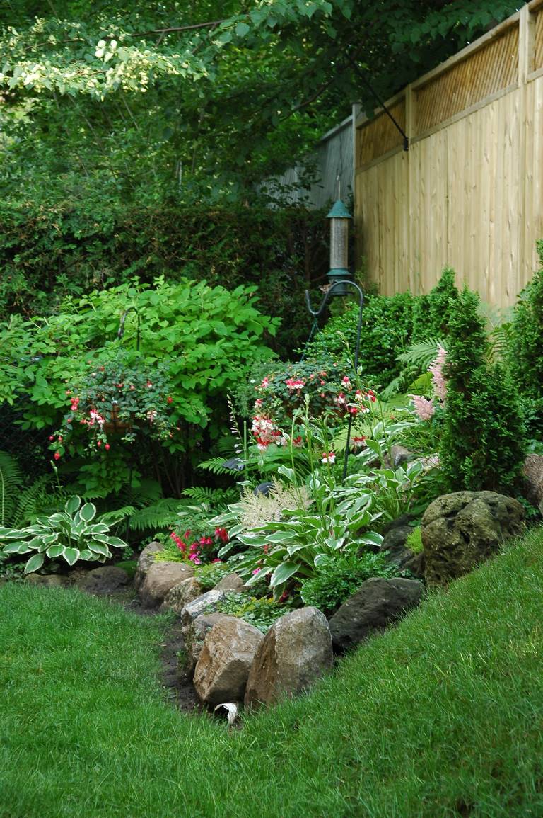 Safest Ways to Kill Weeds in Your Garden Without Harming Other Plants image - Safest Ways to Kill Weeds in Your Garden Without Harming Other Plants