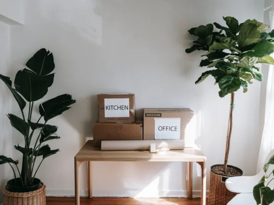 featured image - 4 Genius Tips to Achieve an Organized Move-Out