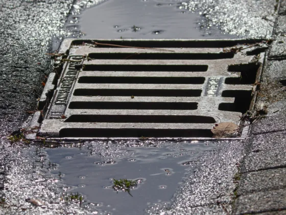 featured image - 4 Signs That Your Sewer Line Is Broken.