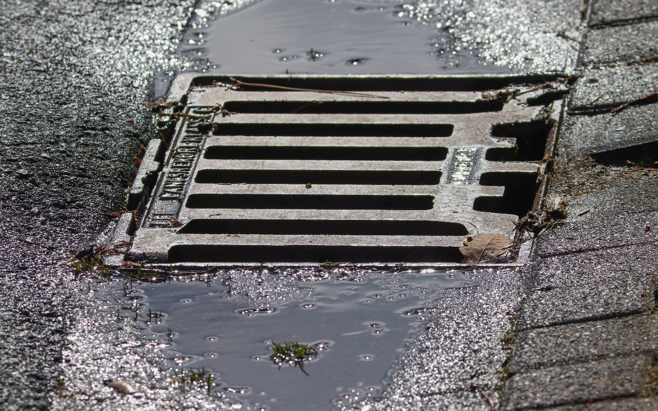 4 Signs That Your Sewer Line Is Broken image - 4 Signs That Your Sewer Line Is Broken