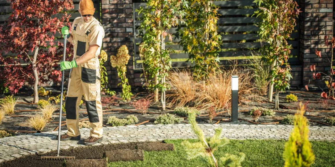 featured image - 5 Reasons to Hire a Professional Landscaping Company