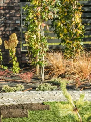 featured image - 5 Reasons to Hire a Professional Landscaping Company