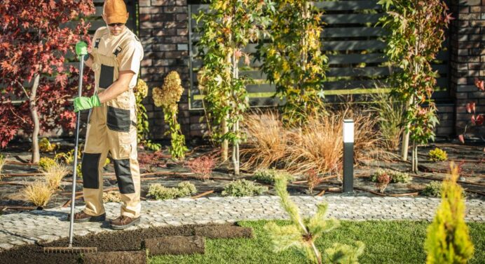 5 Reasons to Hire a Professional Landscaping Company