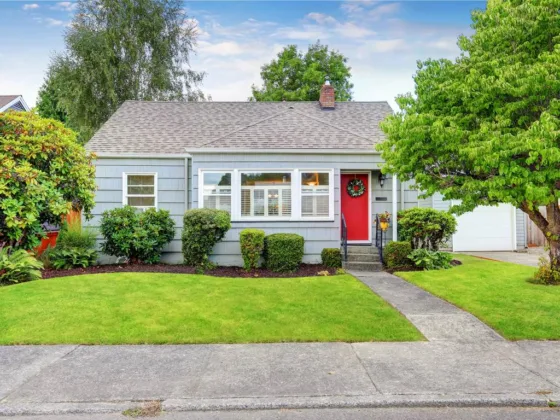 featured image - 6 Signs a Tree Should be Removed from your Property