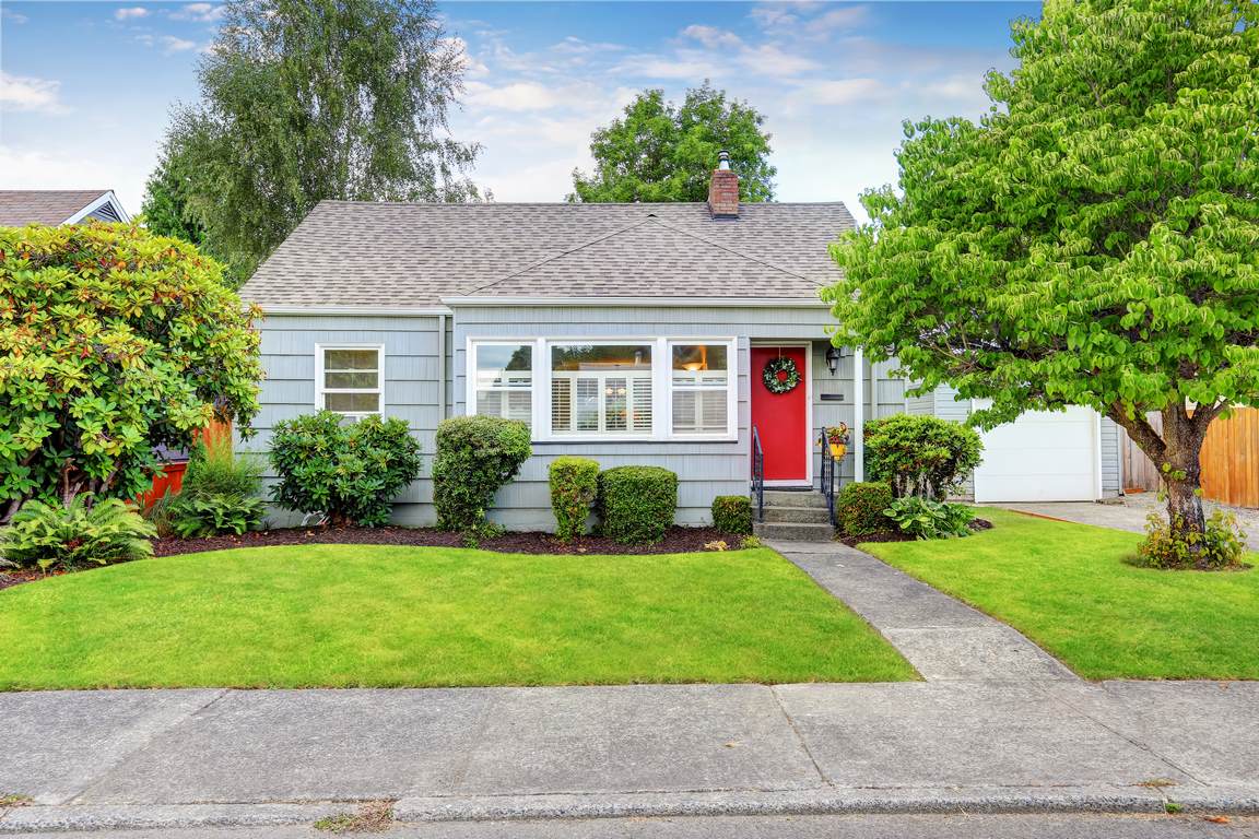 6 Signs a Tree Should be Removed from your Property image - 6 Signs a Tree Should be Removed from your Property