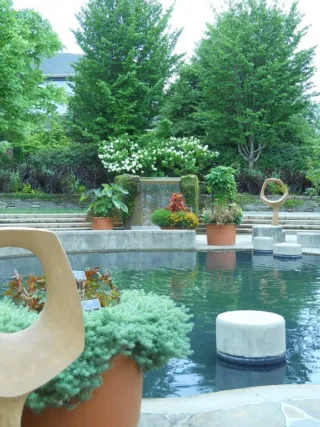 featured image - Creative Ways You Can Decorate Your Backyard Pool