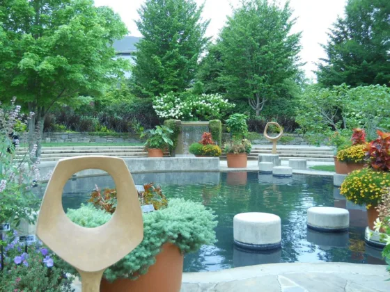 featured image - Creative Ways You Can Decorate Your Backyard Pool