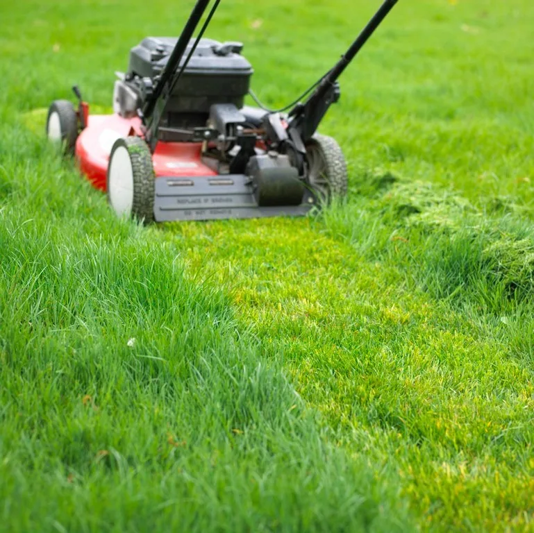 featured image - Is Mowing Your Lawn Good or Bad for the Environment
