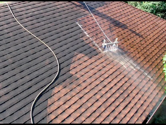 featured image - Is Non-Pressure Roof Cleaning Really the Best Choice?