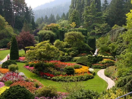 featured image - 4 Easy Rental Property Summer Landscaping Tips