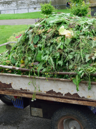 featured image - How to Get Rid of Green Waste?