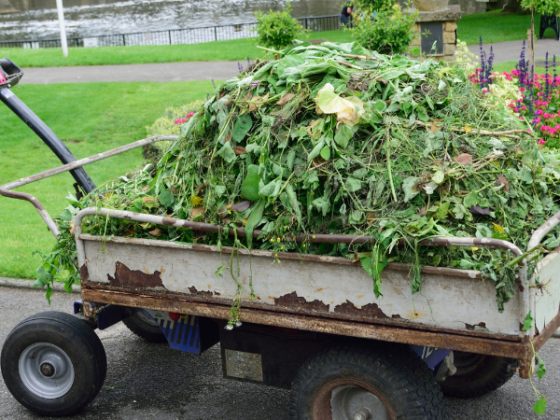 featured image - How to Get Rid of Green Waste?