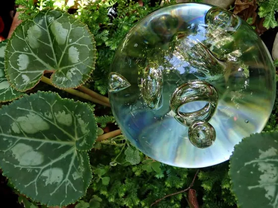 featured image - How to Buy the Best Self-Watering Globes