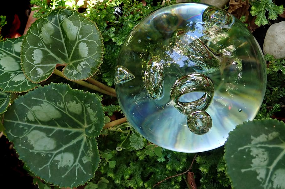 image - How to Buy the Best Self-Watering Globes