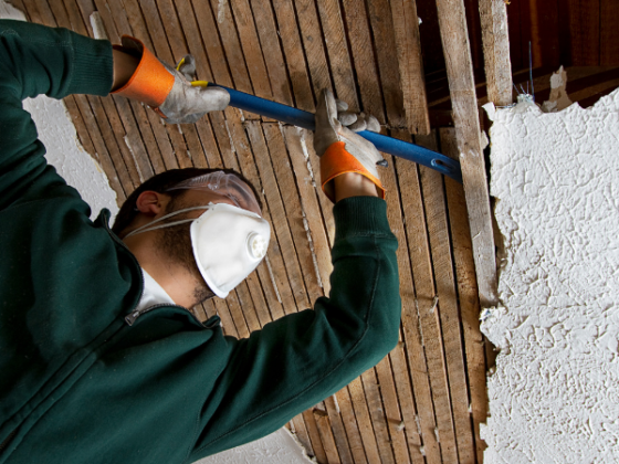 featured image - How to Repair Ceiling Cracks in Plaster Ceiling