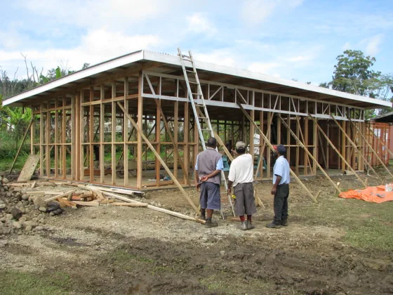 featured image - Things to Consider Before Taking Up Your First DIY Shed Building Project