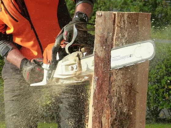 featured image - Can You Use an Electric Chainsaw in the Rain?