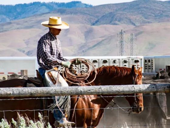 featured image - Wearing a Cowboy Hat – How to Go About It?