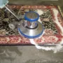 featured image - Before Our Carpet Cleaners Arrive: What You Need to Do