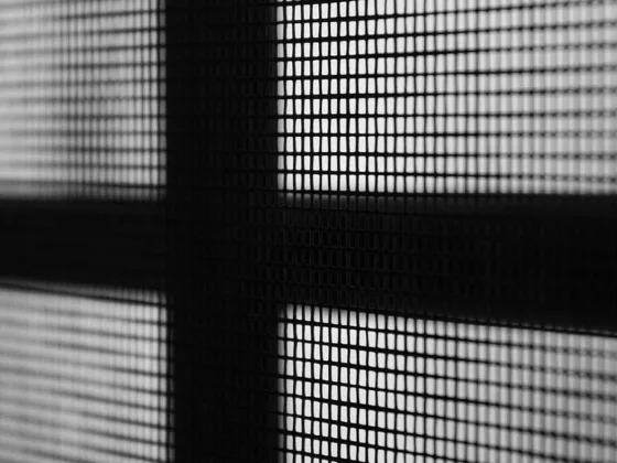 featured image - Fly Screen Windows and Their Types | Guide to Buying Best Windows 2021