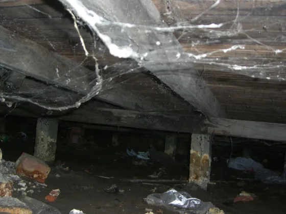 featured image - Ways Your Crawl Space Can Affect Your Health- Find Out Here