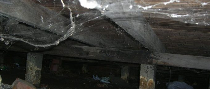 Ways Your Crawl Space Can Affect Your Health- Find Out Here