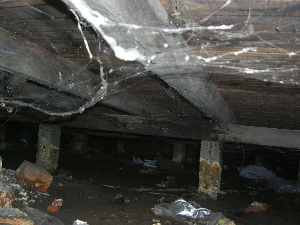 featured image - Ways Your Crawl Space Can Affect Your Health- Find Out Here