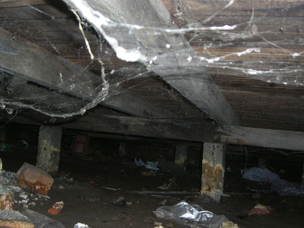 Ways Your Crawl Space Can Affect Your Health- Find Out Here image - Ways Your Crawl Space Can Affect Your Health- Find Out Here