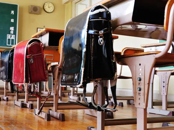 featured image - 5 Features You Need to Know About Chair Bags