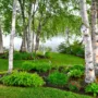 featured image - Are Your Yard and Garden Looking a Little Weary These Tips Might Help!